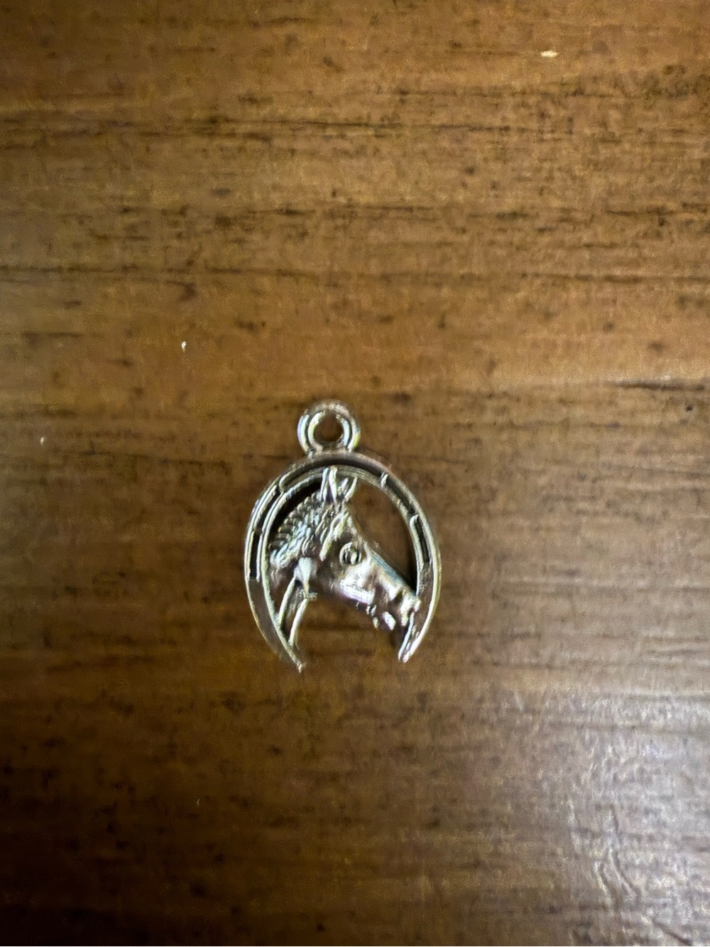 Horse charm 🐴